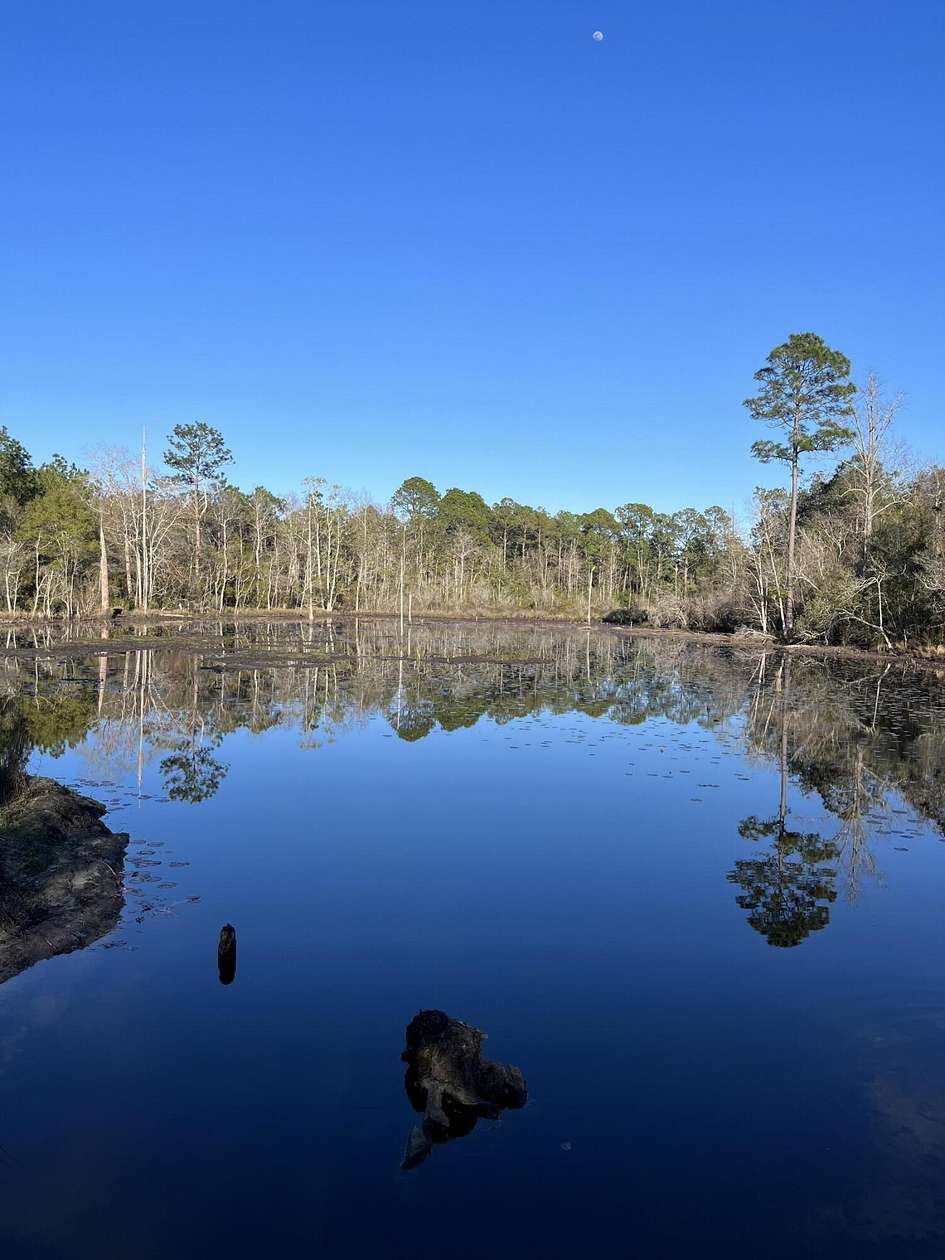 12 Acres of Land for Sale in DeFuniak Springs, Florida