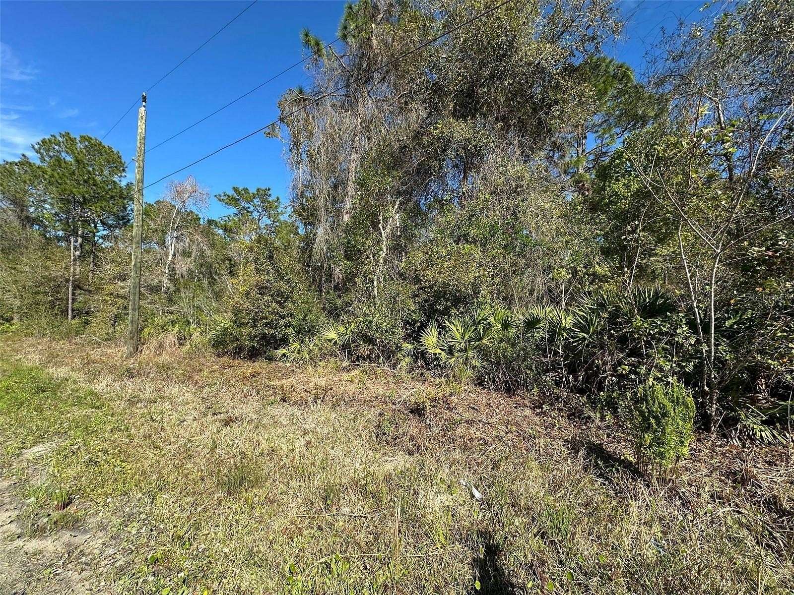 0.23 Acres of Residential Land for Sale in Satsuma, Florida