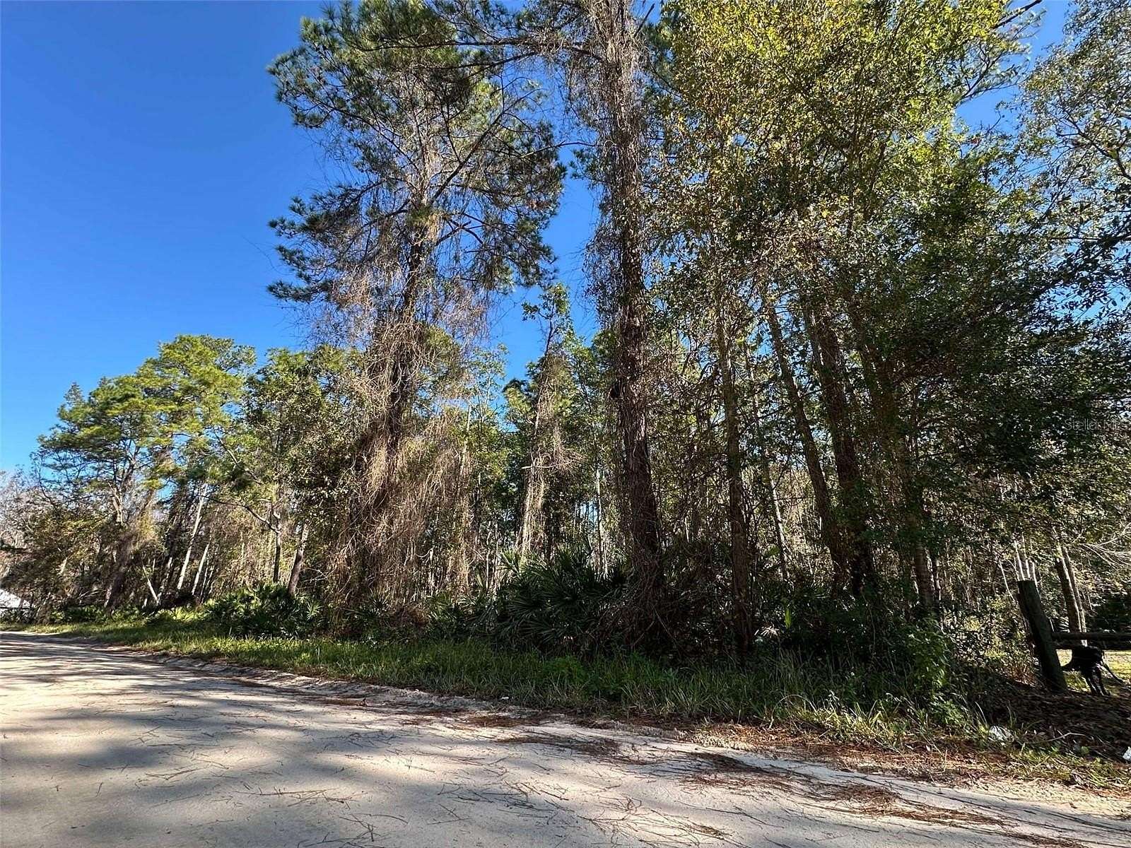 0.23 Acres of Residential Land for Sale in Satsuma, Florida