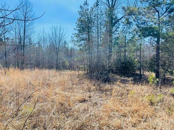 42.8 Acres of Land for Sale in Clinton, Arkansas