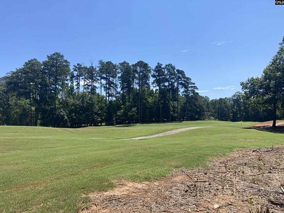 0.59 Acres of Residential Land for Sale in Chapin, South Carolina