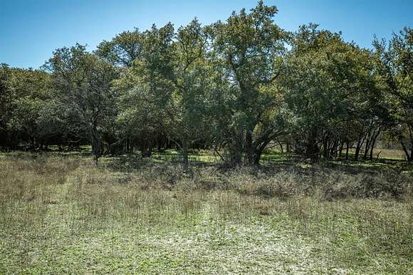 35.4 Acres of Recreational Land for Sale in Early, Texas