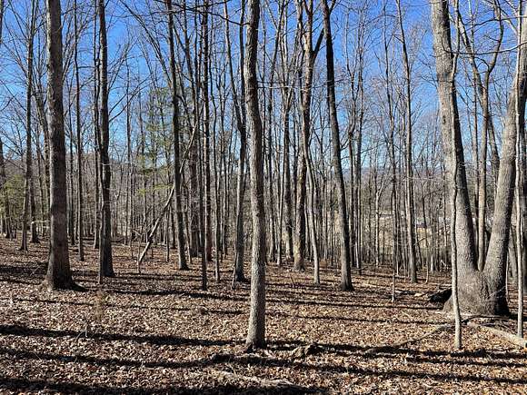 2 Acres of Residential Land for Sale in Natural Bridge Station, Virginia