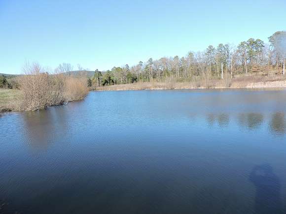42 Acres of Land with Home for Sale in Gravelly, Arkansas