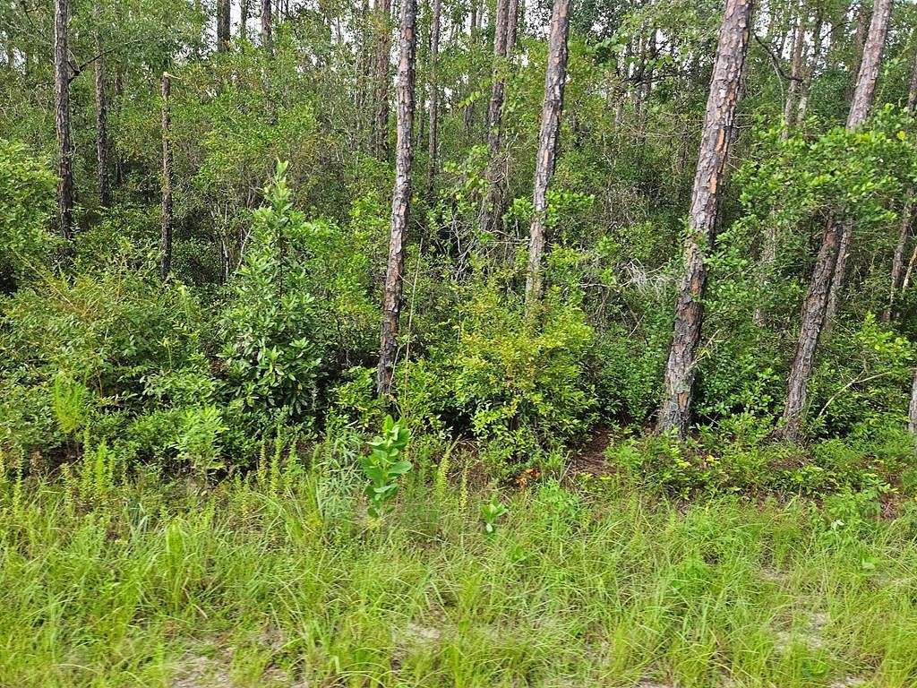 13.4 Acres of Recreational Land for Sale in Wewahitchka, Florida