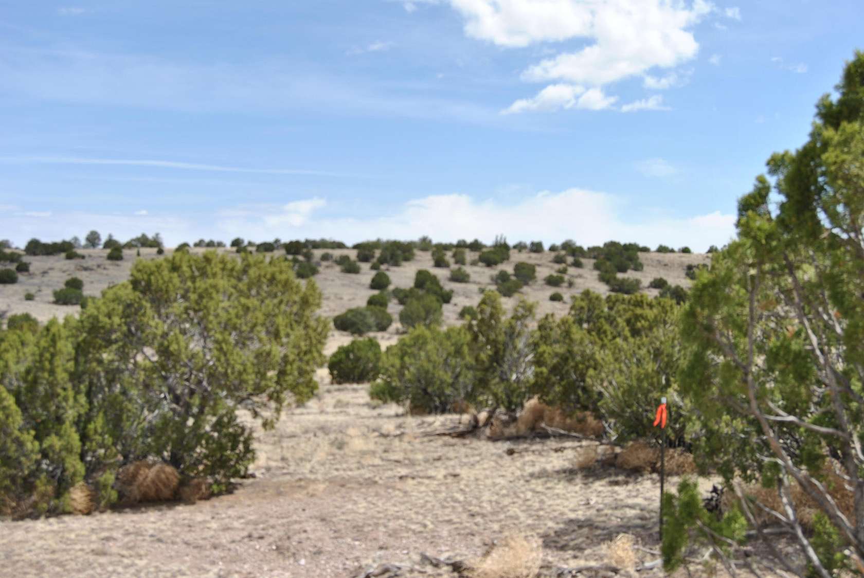 20.1 Acres of Land for Sale in Magdalena, New Mexico