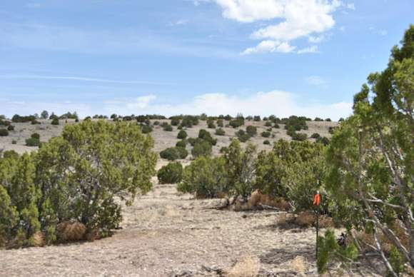 20.1 Acres of Land for Sale in Magdalena, New Mexico