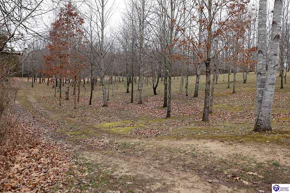 44 Acres of Land with Home for Sale in Campbellsville, Kentucky