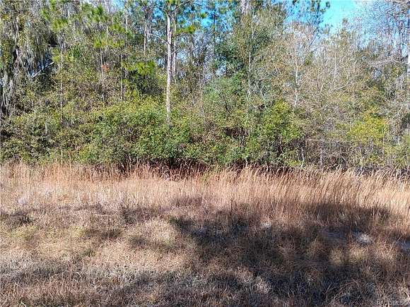 2 Acres of Residential Land for Sale in Waldo, Florida