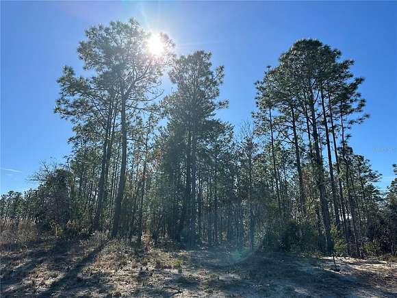 0.26 Acres of Residential Land for Sale in Dunnellon, Florida