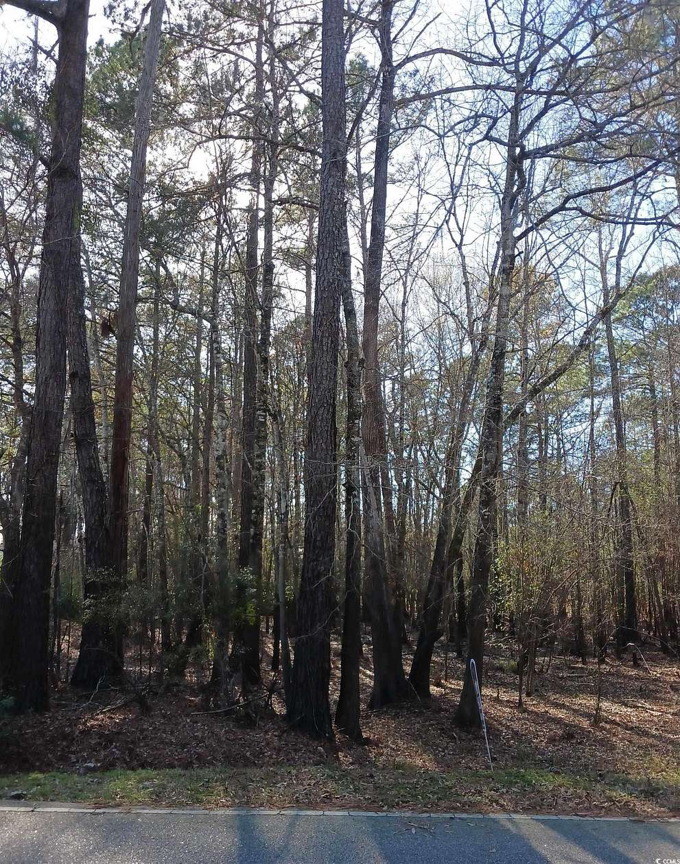 0.37 Acres of Residential Land for Sale in Conway, South Carolina