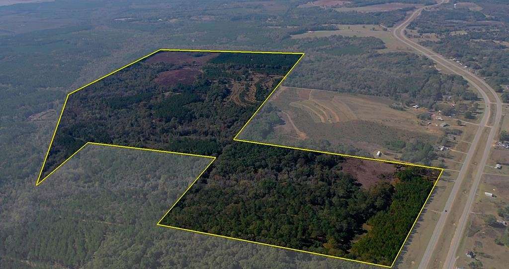 295 Acres of Land for Sale in Elba, Alabama