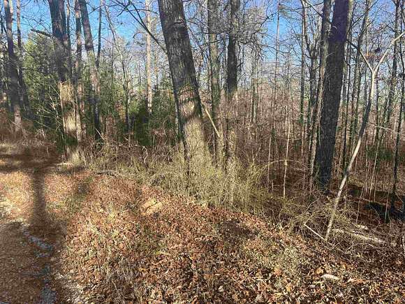 1 Acre of Residential Land for Sale in Savannah, Tennessee