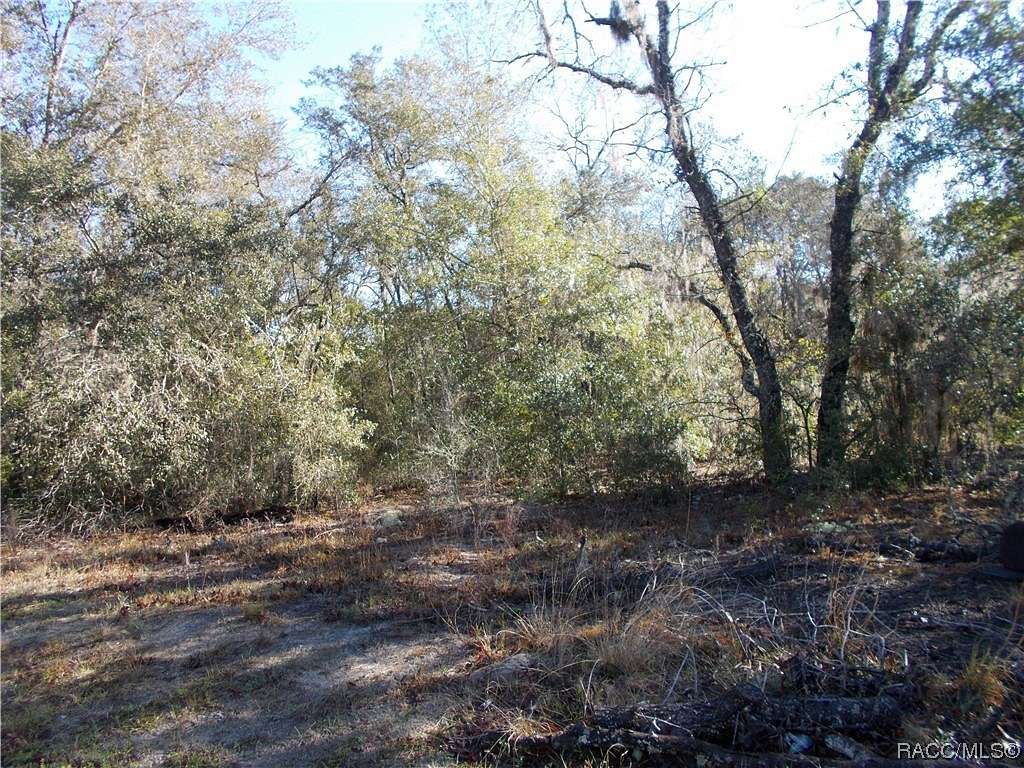 1 Acre of Residential Land for Sale in Lecanto, Florida