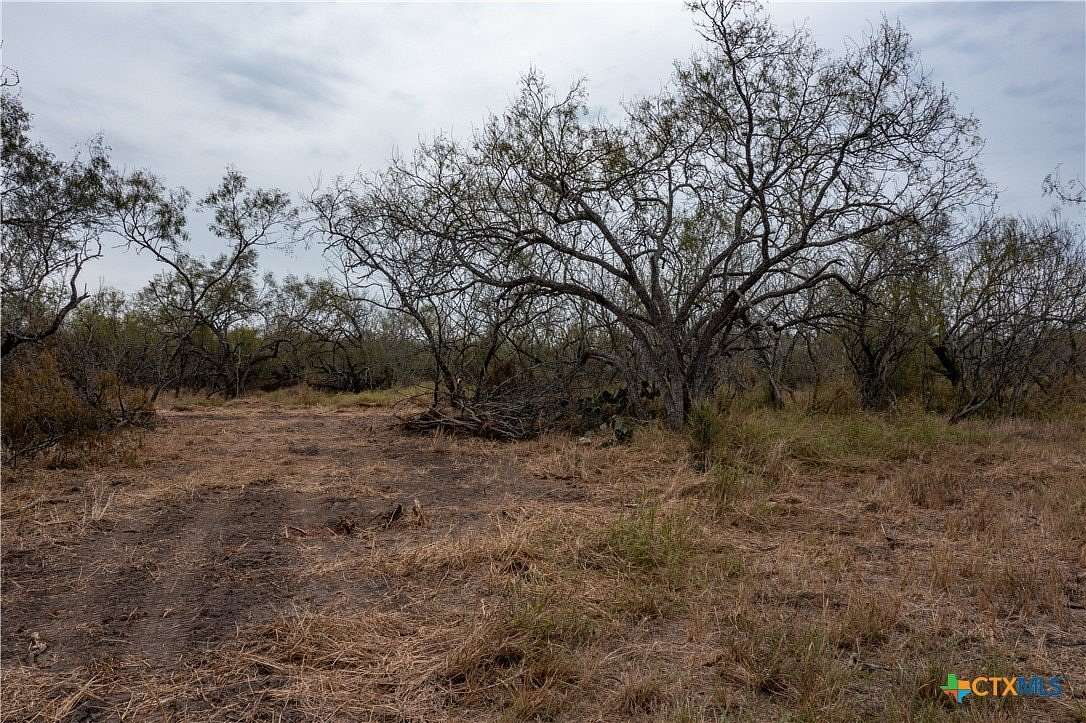 6.445 Acres of Residential Land for Sale in Goliad, Texas