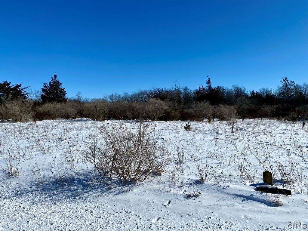 101 Acres of Land for Sale in Cape Vincent, New York