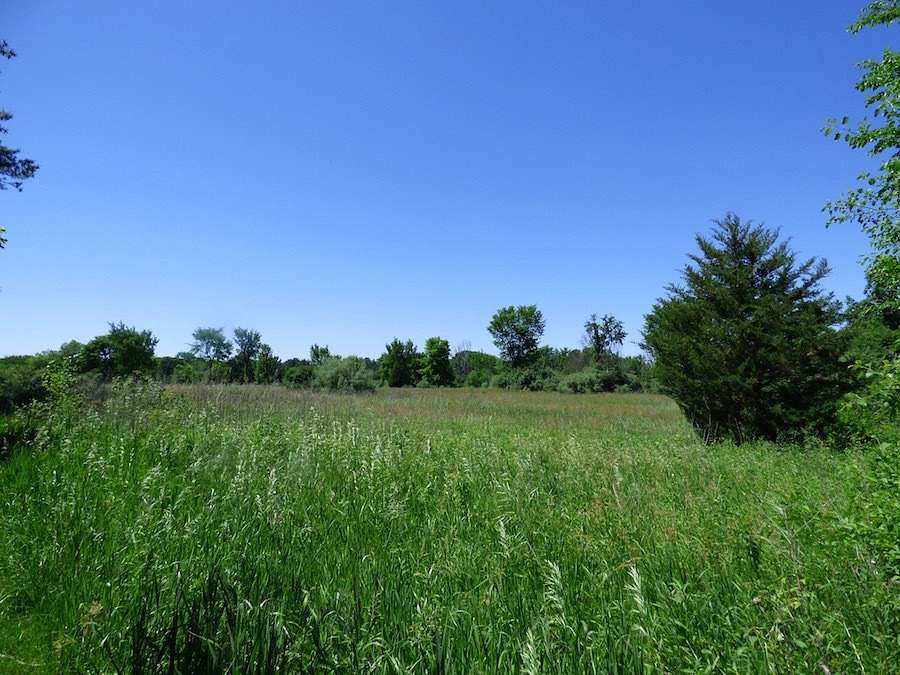 5.1 Acres of Residential Land for Sale in Barrington Hills, Illinois
