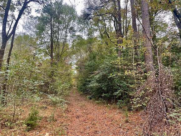 37.4 Acres of Land for Sale in Plain Dealing, Louisiana