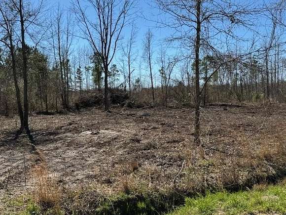 2.9 Acres of Land for Sale in Pinewood, South Carolina