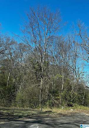 0.15 Acres of Residential Land for Sale in Birmingham, Alabama