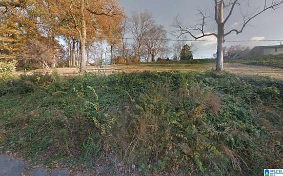 0.77 Acres of Residential Land for Sale in Birmingham, Alabama