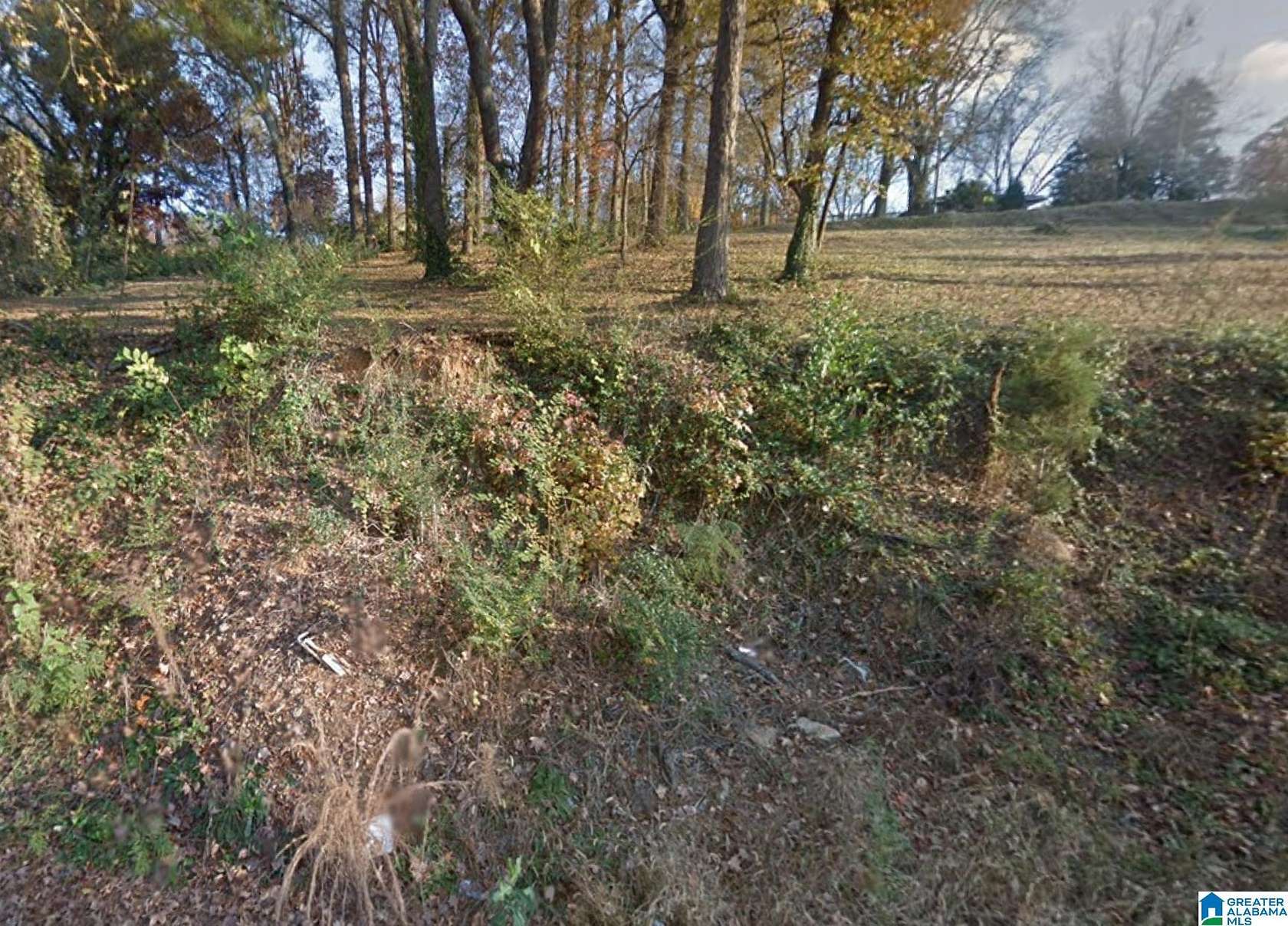0.19 Acres of Residential Land for Sale in Birmingham, Alabama