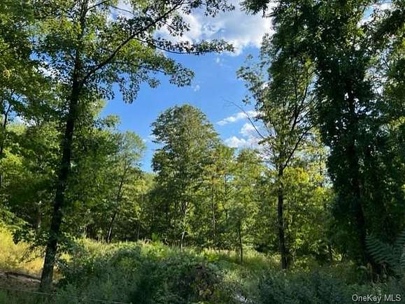 18 Acres of Land for Sale in East Fishkill, New York