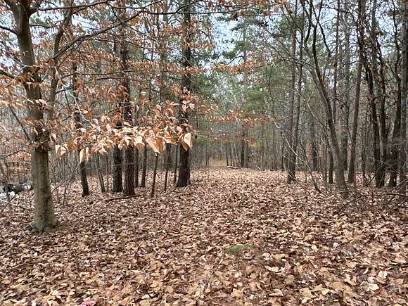 2.8 Acres of Recreational Land for Sale in Dallas, Georgia