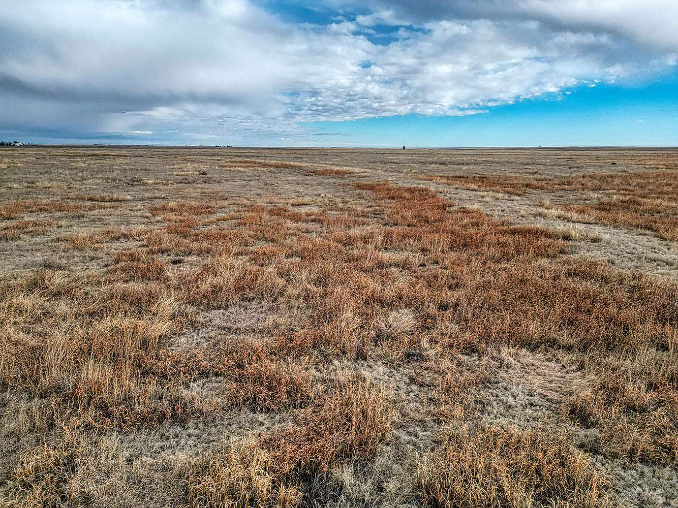 600 Acres of Recreational Land & Farm for Sale in Two Buttes, Colorado