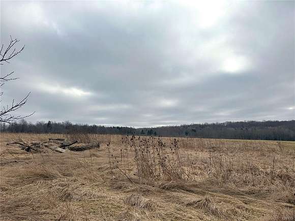 10.6 Acres of Recreational Land for Sale in Caneadea, New York