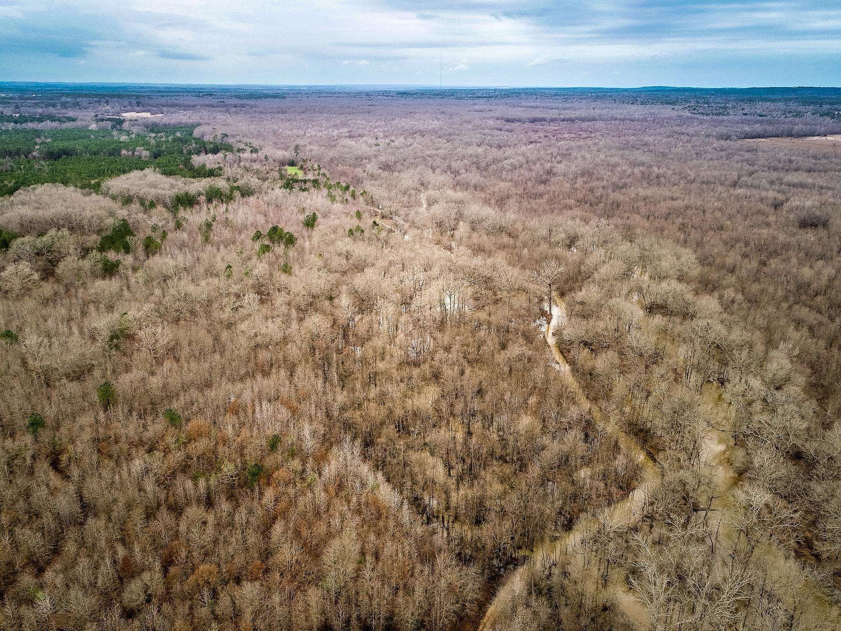 350 Acres of Recreational Land for Sale in Reklaw, Texas