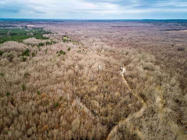 350 Acres of Recreational Land for Sale in Reklaw, Texas