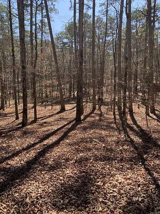 0.27 Acres of Residential Land for Sale in Hot Springs Village, Arkansas