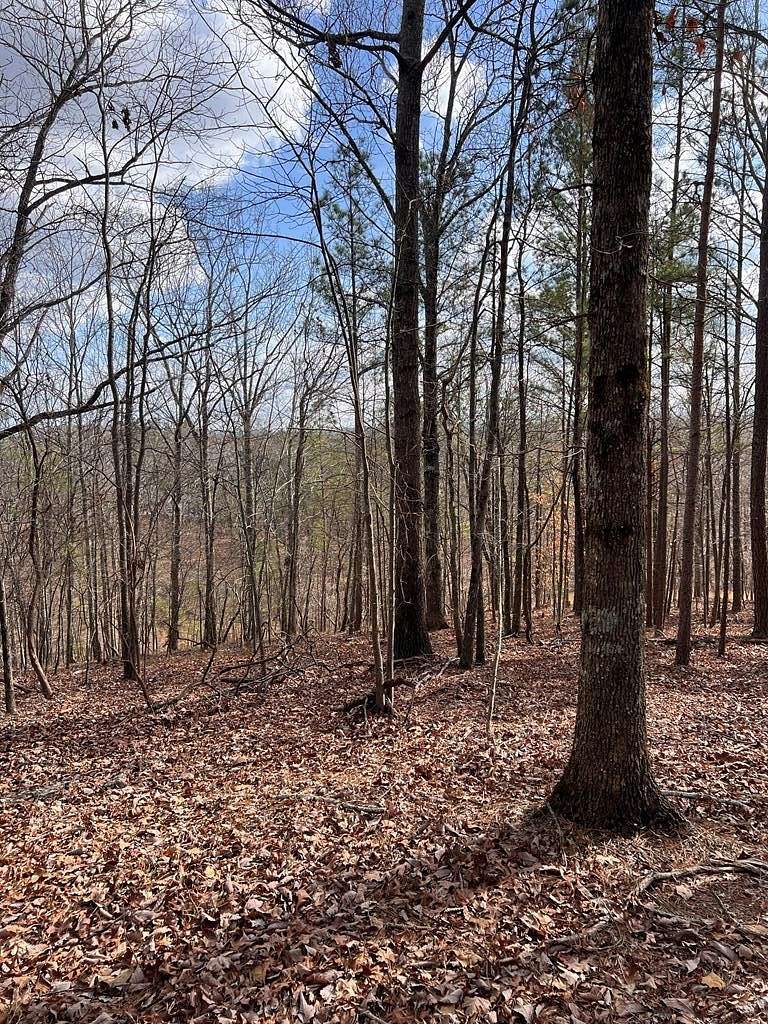 5 Acres of Residential Land for Sale in Ellijay, Georgia