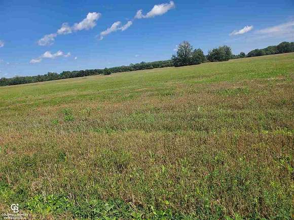 14.5 Acres of Recreational Land for Sale in Yale, Michigan