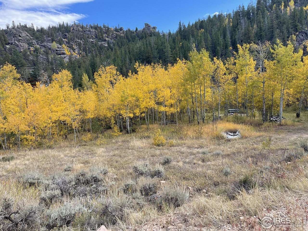 2.53 Acres of Land for Sale in Red Feather Lakes, Colorado