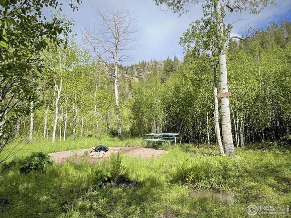 2.5 Acres of Land for Sale in Red Feather Lakes, Colorado