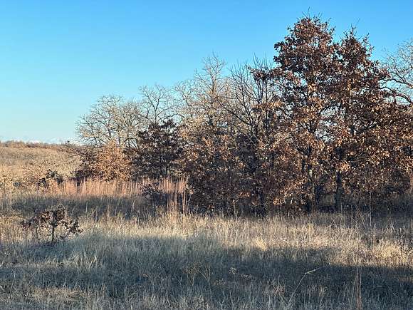 20 Acres of Recreational Land for Sale in Ratliff City, Oklahoma