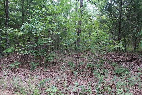 38.4 Acres of Land for Sale in Dittmer, Missouri
