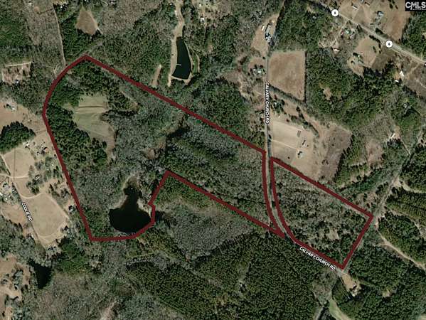139 Acres of Recreational & Residential Land for Sale in Swansea, South Carolina