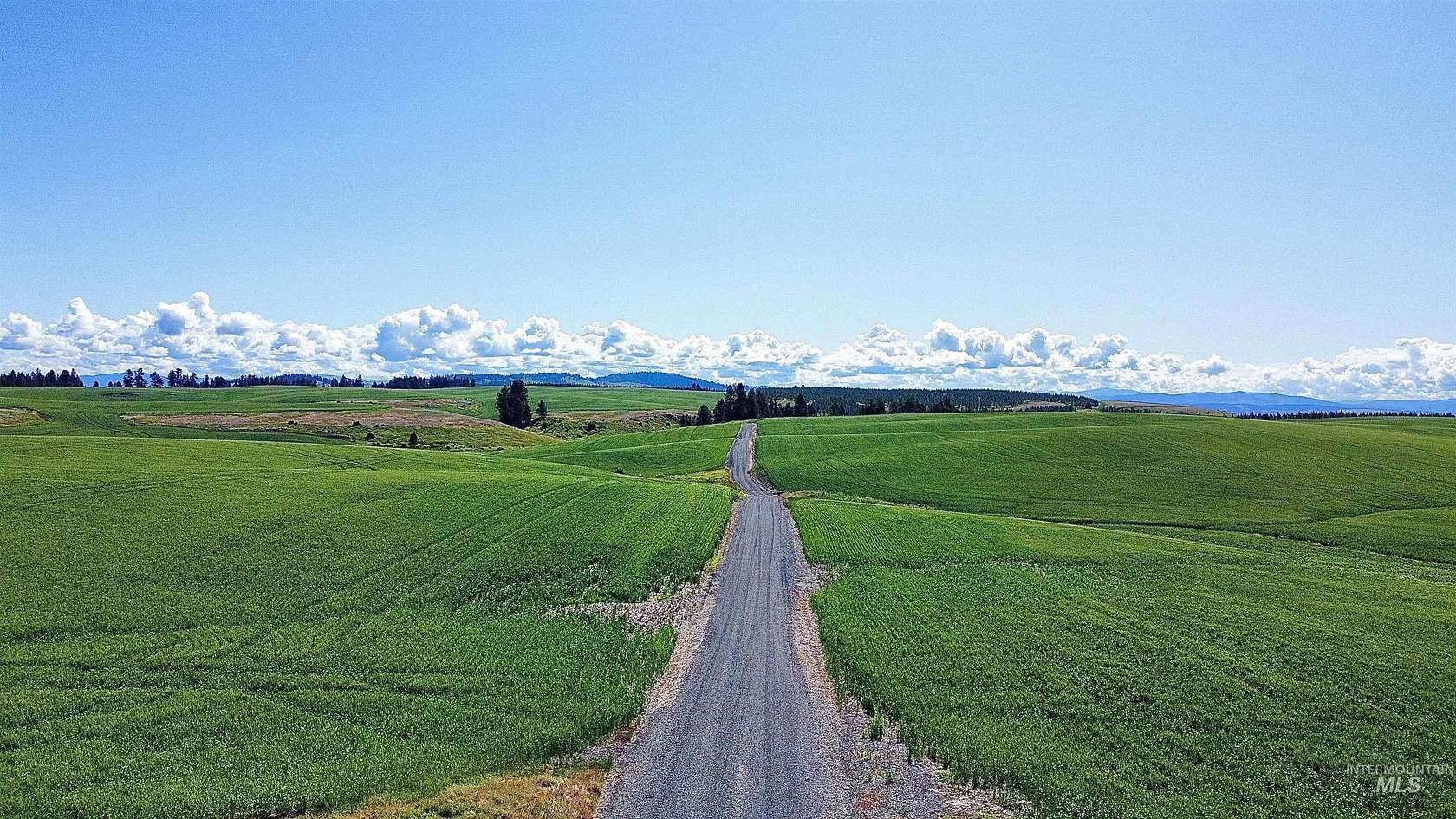272 Acres of Agricultural Land for Sale in Nezperce, Idaho