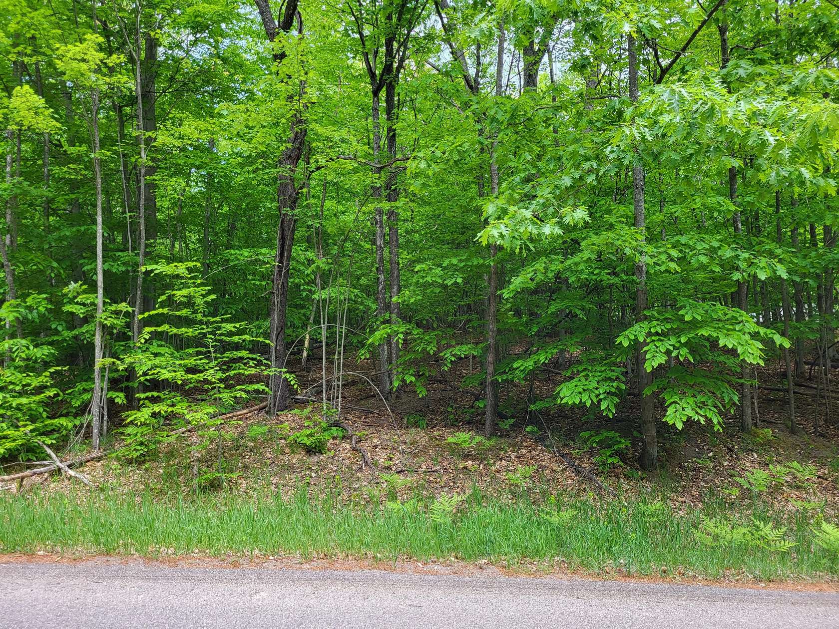 Land for Sale in Gaylord, Michigan