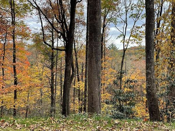 5 Acres of Residential Land for Sale in Cashiers, North Carolina