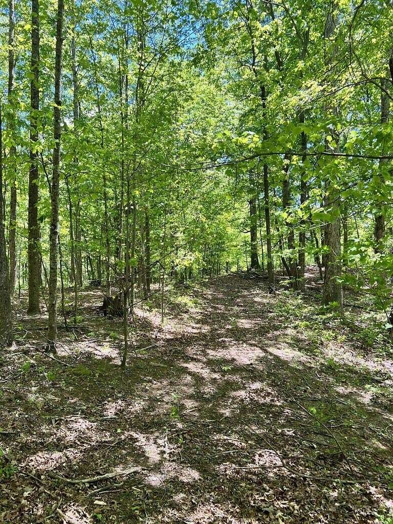 81 Acres of Land for Sale in Manchester, Kentucky
