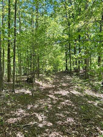 81 Acres of Land for Sale in Manchester, Kentucky
