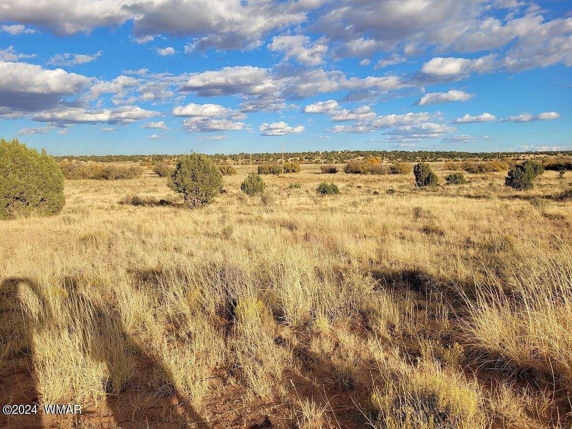 44.9 Acres of Agricultural Land for Sale in Concho, Arizona