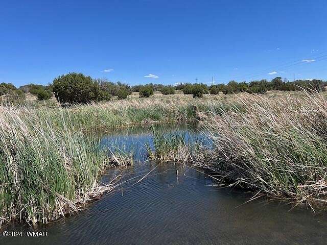 44.88 Acres of Land for Sale in Concho, Arizona