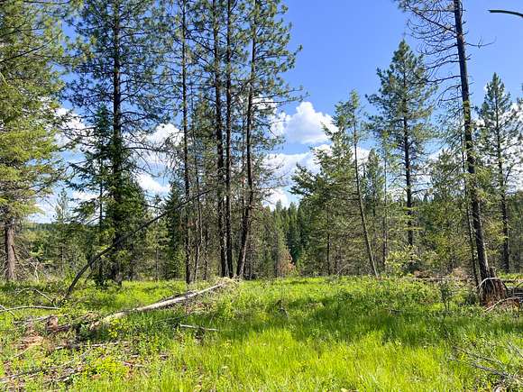 20 Acres of Recreational Land for Sale in Springdale, Washington