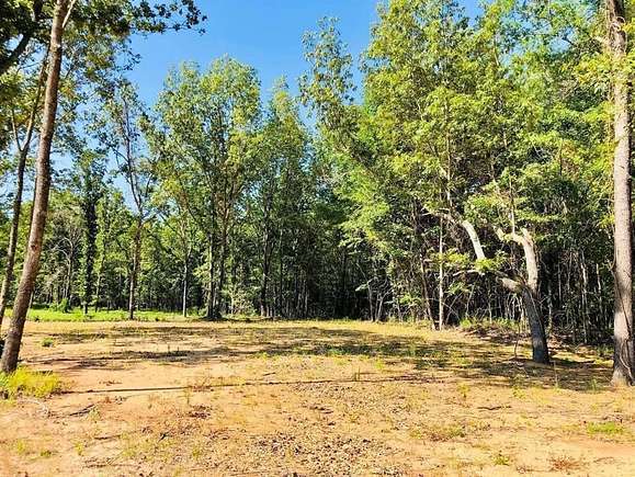 1 Acre of Land for Sale in Yantis, Texas
