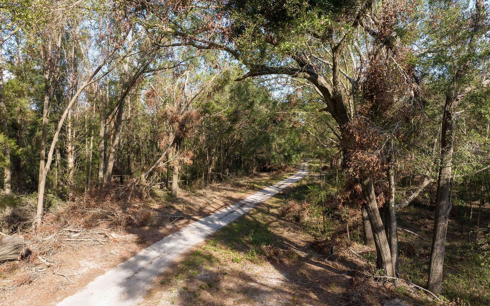 12 Acres of Land for Sale in Live Oak, Florida